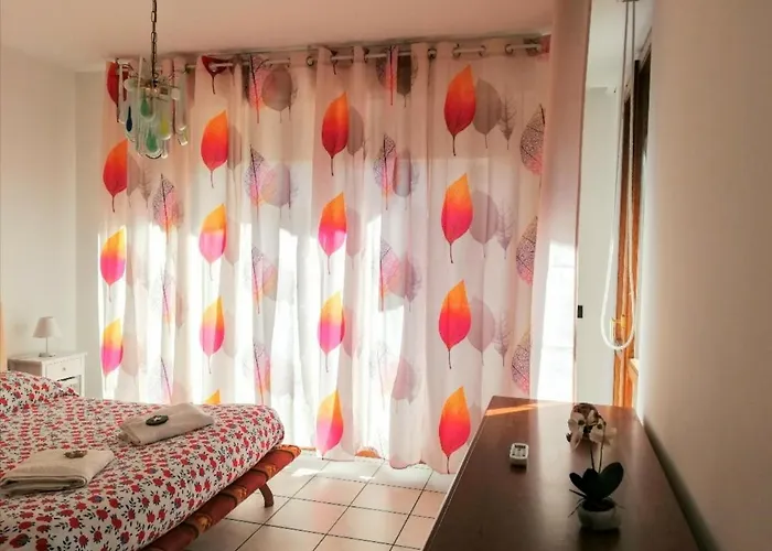 1 2 3 Stella 阿尔盖罗