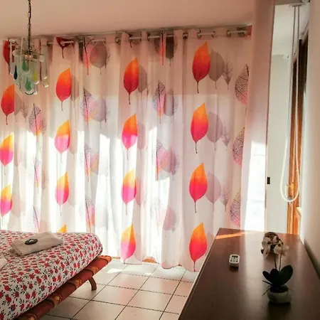 1 2 3 Stella Альгеро